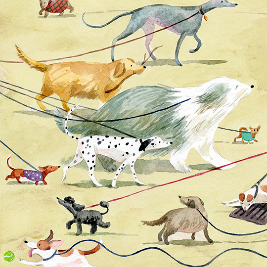 Anna Shuttlewood - Walkies