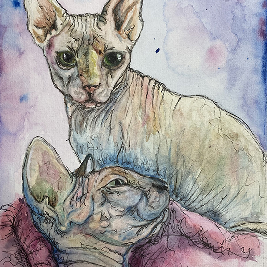 Camrin Schinkel - Nephy&Victor