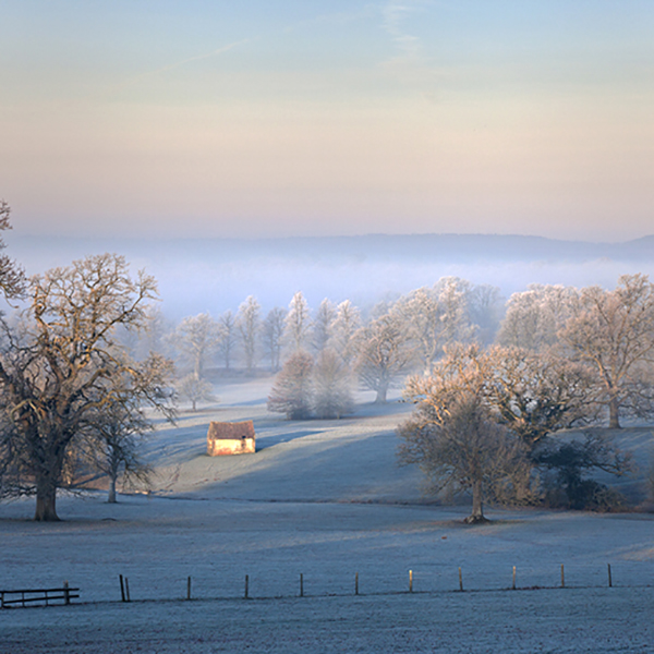 CL Hoar frost at Semley
