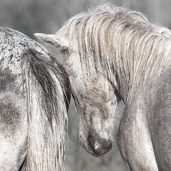 Sally Edwards-You and Me